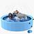 Piscina Dobrável para Banho de Cães,Piscina Dobrável para Cães,Largura para Cães Grandes, Piscina Infantil e Banheira para Cães (160 * 30CM)